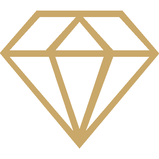 الرئيسية هولندا (3)